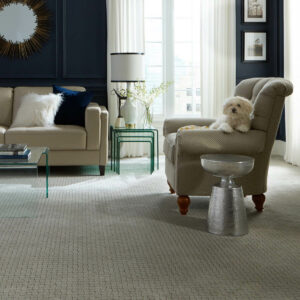 Premium Carpet | VRR Flooring