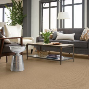 Modern Carpet | VRR Flooring