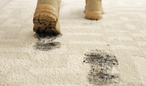 Carpet Care | VRR Flooring